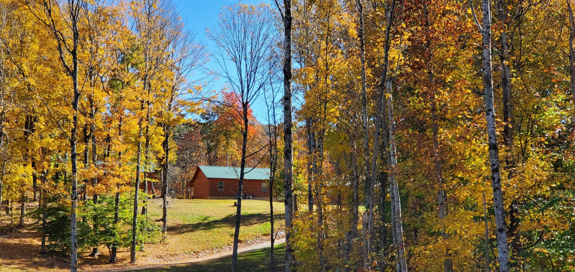 Cabin nestled in colorful fall woods