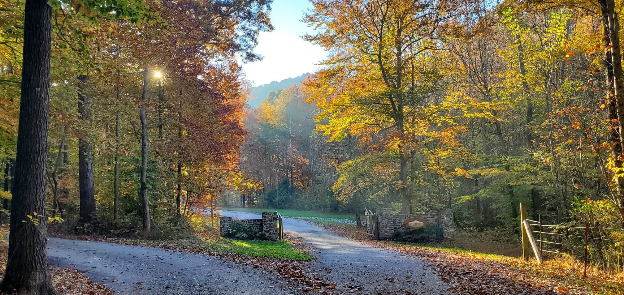 Gravel road winding through fall foliage at Manderley Camp