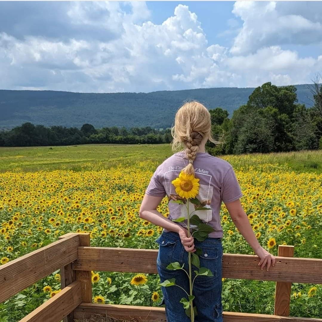 Girl holding a sunflower overlooking a sunflower field in the Sequatchie Valley
