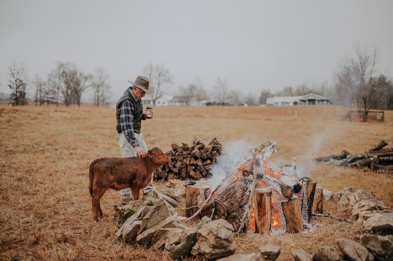 Farmer tending a fire beside a calf and woodpile