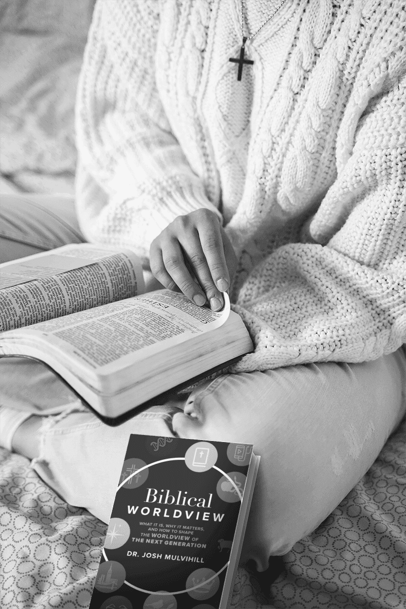 Biblical Worldview book cover
